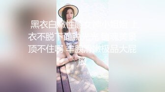 牛年贺岁 喜淫新春 1