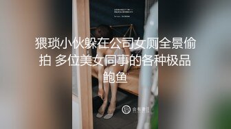 女友打桩机