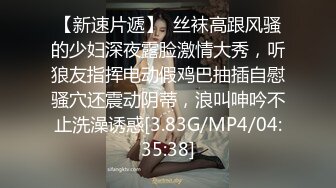 国产麻豆AV MD MD0176 淫魔仲介卖房术 新人女优 韩熙