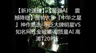 布拉格之恋BD1024超清中英双字