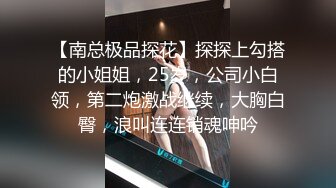 [szyca] 甜心選擇2 在酒吧被勾引的蒂法