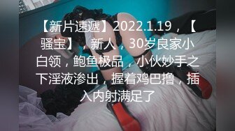 【新片速遞】2022.1.19，【骚宝】，新人，30岁良家小白领，鲍鱼极品，小伙妙手之下淫液渗出，握着鸡巴撸，插入内射满足了