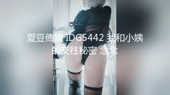 愛豆傳媒 IDG5442 我和小姨的交往秘密 念念