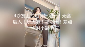 晚上去妹子的表姐家过夜，后入操她-同事-东北