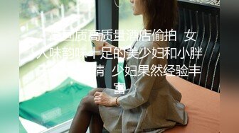   高画质高质量酒店偷拍  女人味韵味十足的美少妇和小胖子 貌似偷情  少妇果然经验丰富