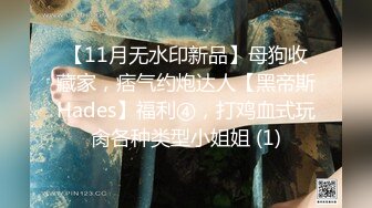 【11月无水印新品】母狗收藏家，痞气约炮达人【黑帝斯Hades】福利④，打鸡血式玩肏各种类型小姐姐 (1)