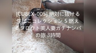 [CUBEX-005] 絶対に抜ける生ぱこコレクション 5 燃えるシロウト美人妻ガチナンパの旅 3時間