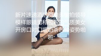 MDHG0008 麻豆传媒 这个面试有点硬 性感可爱首席女神 苏畅