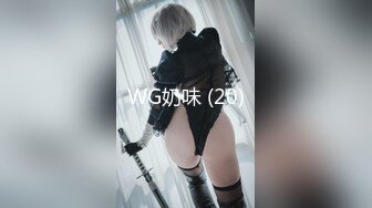 WG奶味 (20)