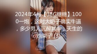 太完美了 满足幻想 mx840474725 2期AI集 