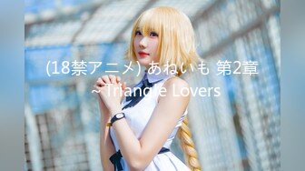 (18禁アニメ) あねいも 第2章 ～Triangle Lovers