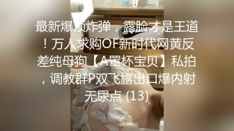 很黄发丁字裤骚受,坐上去自己动