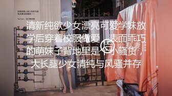 91张总探花05-23约操美女性奴，跪地学狗爬，丰乳肥臀，极品身材各种姿势配合