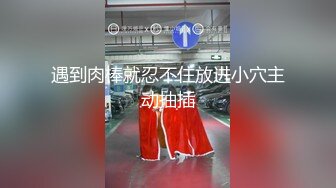 大像传媒之火辣女同事的性感誘惑-李娜娜