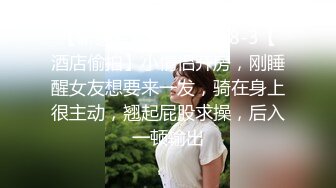 商场女厕偷拍齐B短裙 高冷美女的多毛B