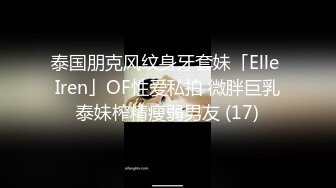 泰国朋克风纹身牙套妹「Elle Iren」OF性爱私拍 微胖巨乳泰妹榨精瘦弱男友 (17)