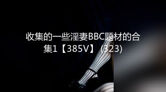 收集的一些淫妻BBC题材的合集1【385V】 (323)