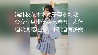 清纯校花木木凉子寻求刺激，公交车后排低头吃鸡巴，人行道公厕吃龟头，不知道有多爽！