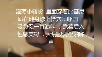 【AI换脸视频】关晓彤 与她的小玩具