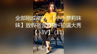 【自整理】在楼梯上给维修工人口交 【92V】 (13)