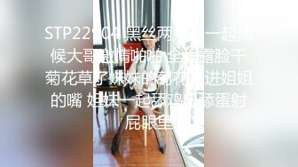 黑丝高跟女仆露脸小骚逼镜头前的诱惑，揉奶玩逼互动撩骚，逼逼里塞着跳蛋各种展示，淫声荡语表情妩媚好刺激