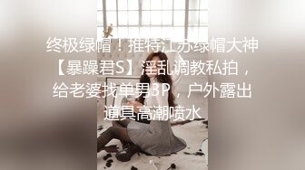 激情一夜，户外真实！【跟闺蜜在KTV玩耍】安徽女神肤白貌美，偷偷在KTV卫生间发骚自慰 (4)