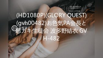 (HD1080P)(GLORY QUEST)(gvh00482)お色気PA会長と悪ガキ生徒会 波多野結衣 GVH-482