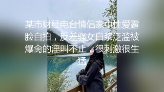 骚老婆被大鸡吧插