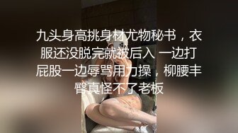 丰臀巨乳大母狗