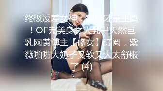 AV0033 大象传媒 大象新春多人特别企划